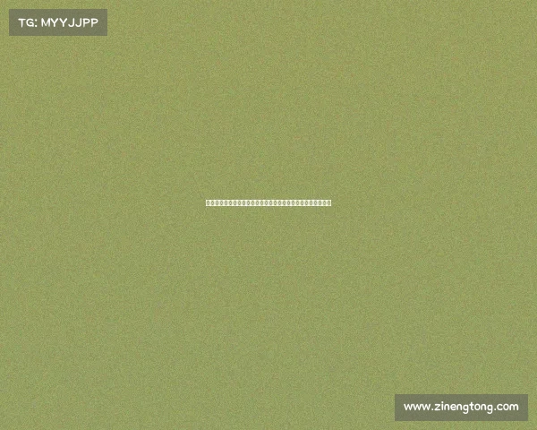 雅克松海滩度假放松身心尽情踢球玩水上摩托艇享受阳光与海风